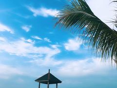 -新峰肉骨茶