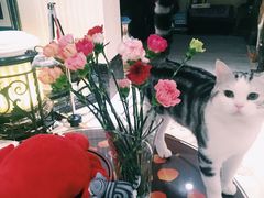 -派悦坊·甜品·蛋糕(日坛店)