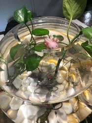 -周忆刺青原创设计定制