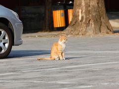 -大钟寺古钟博物馆