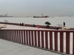 -上海滨江森林公园