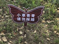 -美兰湖景区