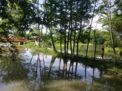 -桤木河湿地公园