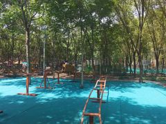 -草根堂农场
