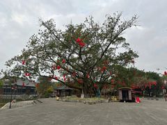 -国恩寺