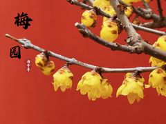 -无锡梅园公园
