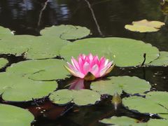 -石塘人家
