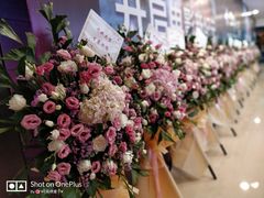 -SFC上影影城(港汇永华IMAX激光店)
