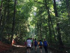 -武吉知马自然保护区