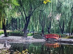 -玲珑塔公园