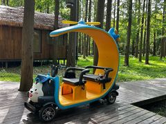 -黄海国家森林公园