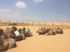 -亿利库布其七星湖沙漠生态旅游区