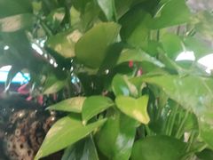 -胖哥俩肉蟹煲(福州仓山爱琴海店)