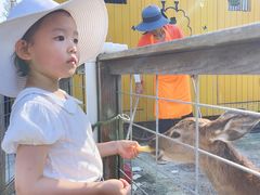 -前小桔亲子创意农场·草莓采摘·露营烧烤