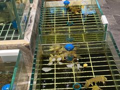 -江南府第·萧山宴(钱江世纪城店)