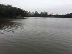 -三水森林公园