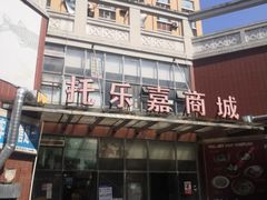 -蜜雪冰城(托乐嘉店)