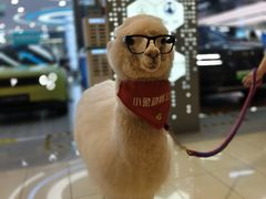 -CityOn熙地港（西安）购物中心