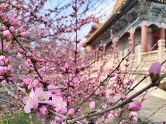 -沈阳市东陵公园