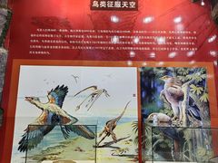 -吉林省自然博物馆