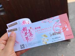 -南汇水蜜桃采摘(大团店)