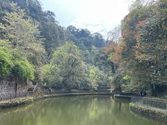 -云南屏边大围山国家公园