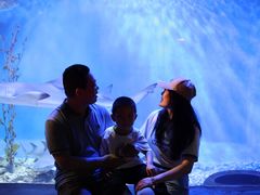 -太平洋海底世界