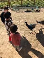 -萌宠亲子动物乐园(槐房万达店)