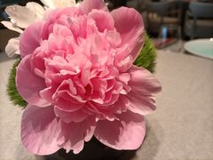 -南堂馆·新川菜(春熙路店)