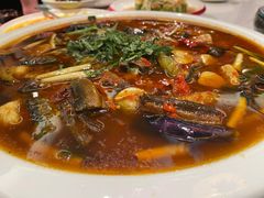 -院8里·小聚园老川菜(九眼桥店)