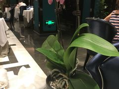 -Yan Ting 宴庭中餐厅(上海静安瑞吉酒店)