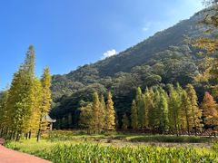 -广州市石门国家森林公园