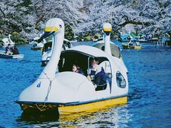 -井之头恩赐公园