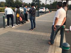 -迪士尼乐园停车场