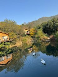 点击看大图 -尚圣月子会所·庄园式月子中心(萧山湘湖店)