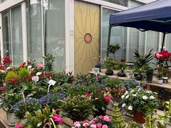 -三圣花乡旅游区