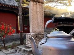 -五台山风景名胜区-罗睺寺