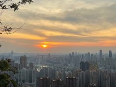 -南山植物园