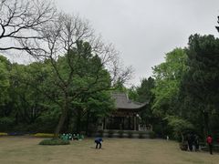 -汇龙潭