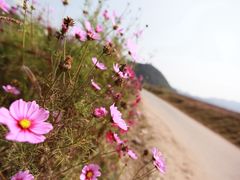 -百里山水画廊