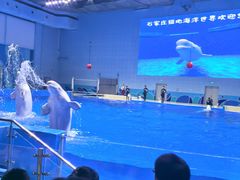 -石家庄市动物园