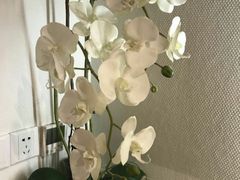 -Dragonfly悠庭·按摩Spa(静安嘉里中心店)