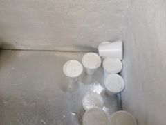 -洪馨椰子