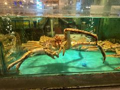 -潮粤香海鲜酒楼(沙湖店)