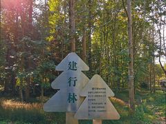 -东平国家森林公园