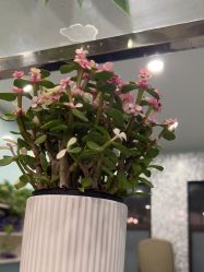 -佰亿Salon·烫染造型