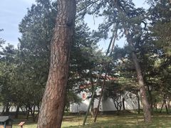 -普陀宗乘之庙(小布达拉宫)