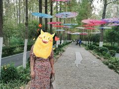 -合肥滨湖国家森林公园