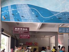 -九华奇缘探险漂流