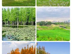 -白鹭湾湿地公园